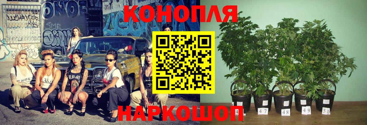 Артём  Конопля семена  Конопля марихуана  Вход с VPN 